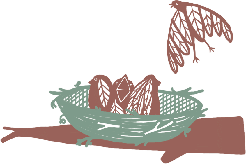 Nest